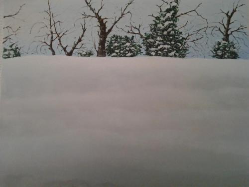 Cesena, nevone 2012